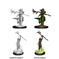 Human Druid Female (Nolzur)