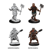 Human Barbarian Male (Nolzur)