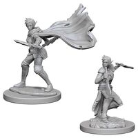Elf Female Rogue (Nolzur)