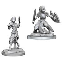 Shifter Fighter (Nolzur)
