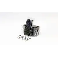 Laser Plants - Black Magic Taro