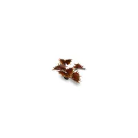 Laser Plants - Alien Flytrap