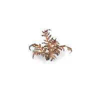 Laser Plants - Dry Bracken