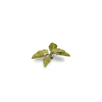 Laser Plants - Elephant Ear