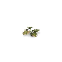 Laser Plants - Monstera