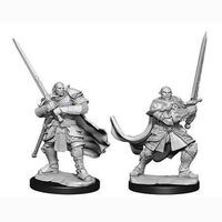 Half-Orc Paladin Male Nolzur