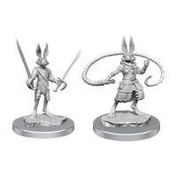 Nolzur Harengon Rogues