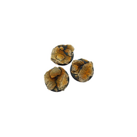 Shale Bases Round 50mm (2)