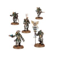 Solar Auxilia: Tactical Command Section