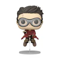 POP! Harry Potter on Broom (Quidditch) #165