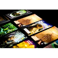 Mystic Vale: Vale of Magic Expansion