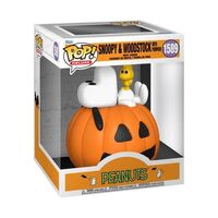 Pop! Snoopy & Woodstock w/ Pumpkin - Peanuts #1589