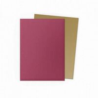 Dragon Shield Dual Red/Gold Special Edition Sleeves