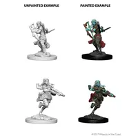 Air Genasi Female Rogue - Nolzur Primed