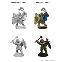 Dragonborn Male Paladin - Nolzur Primed