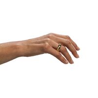 The One Ring ( Gold Plated) Size 13 - Lord Of the Rings