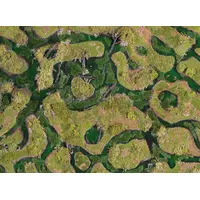 Forsaken Swamp Gaming Mat - 44"'x60"