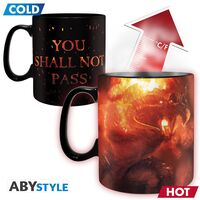 Lord of the Rings Heat Change Mug 460ml You Shall Not Pass