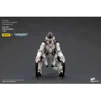 Tyranids Hive Fleet Leviathan Hormagaunt 2 1/18 10cm