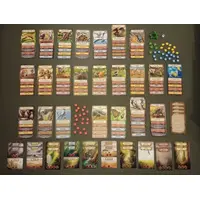 Evolution New World