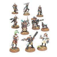 Rogue Trader Entourage & Voidsmen-at-Arms D.O.
