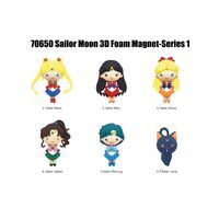 Sailor Moon Magnets Blind Pack Series 1