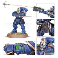 Primaris Reivers