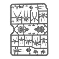 Citadel Skulls