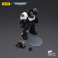 Raven Guard Terminator 2 with Power Fist and Storm bolter Action Figure 14cm
