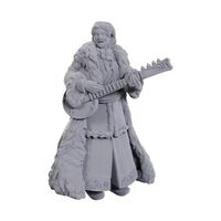 Ansalon Human Bard - Nolzur