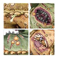 Maggotkin of Nurgle: Beast of Nurgle