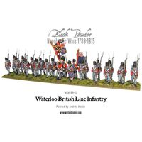 Waterloo British Line Infantry