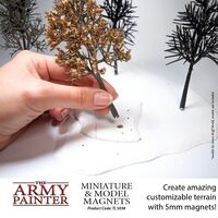 Miniature & Model Magnets