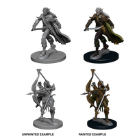 Elf Male Fighter (Pathfinder)