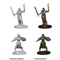 Elf Female Fighter (Pathfinder)
