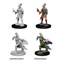 Human Female Sorcerer (Pathfinder)