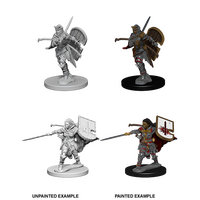 Human Female Paladin (Pathfinder)