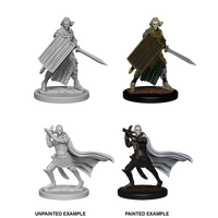 Elf Male Paladin (Pathfinder)