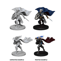 Elf Female Paladin (Pathfinder)
