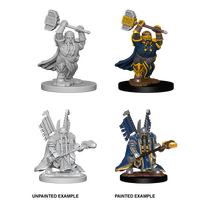 Dwarf Paladin Male (Nolzur)