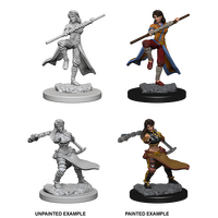 Human Monk Female (Nolzur)