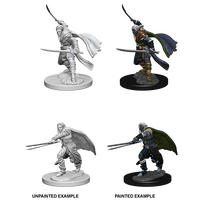Elf Ranger Male (Nolzur)