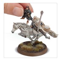 Gandalf the White and Peregrin Took