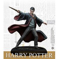 Harry Potter Miniatures Adventure Game