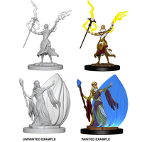 Elf Wizard Female (Nolzur)