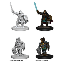 Dwarf Paladin Female (Nolzur)