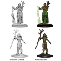 Human Druid Female (Nolzur)