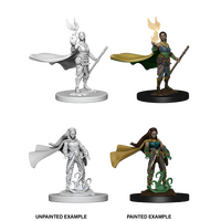Elf Druid Female (Nolzur)