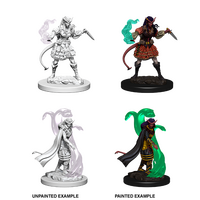 Tiefling Sorceror Female (Nolzur)