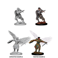 Aasimar Fighter Male (Nolzur)